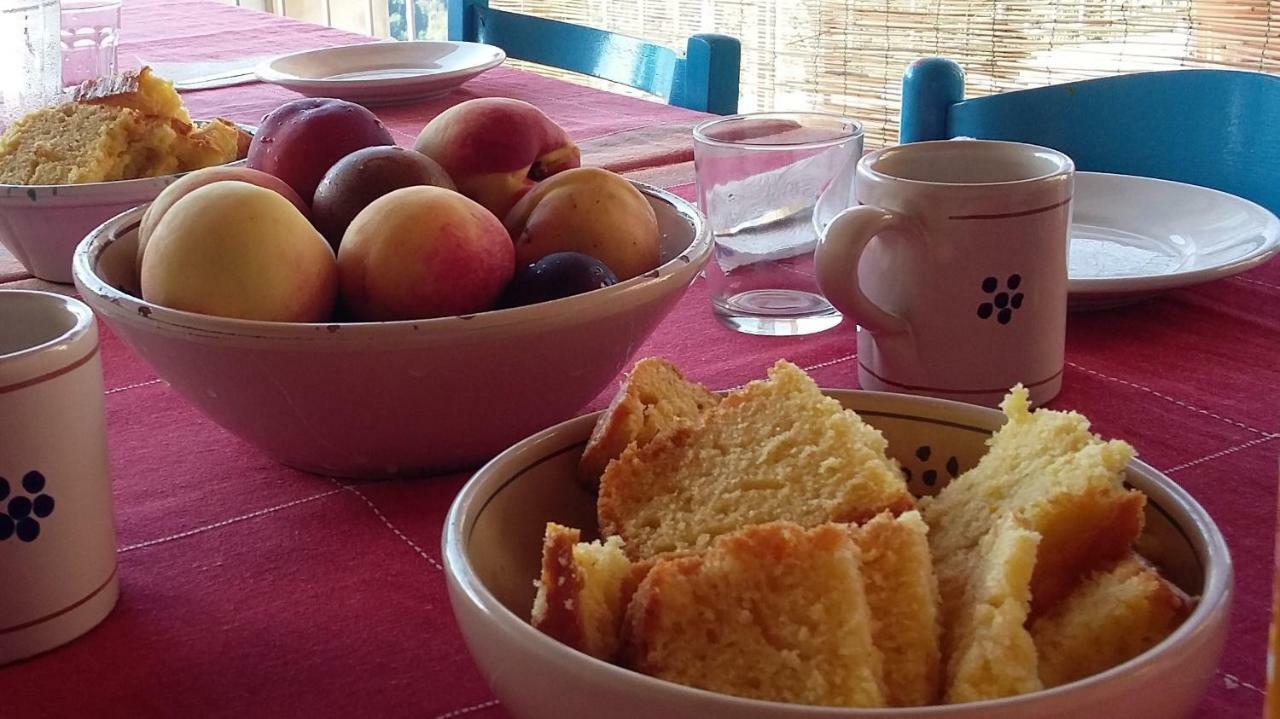 B&B Calabria Scigliano Luaran gambar