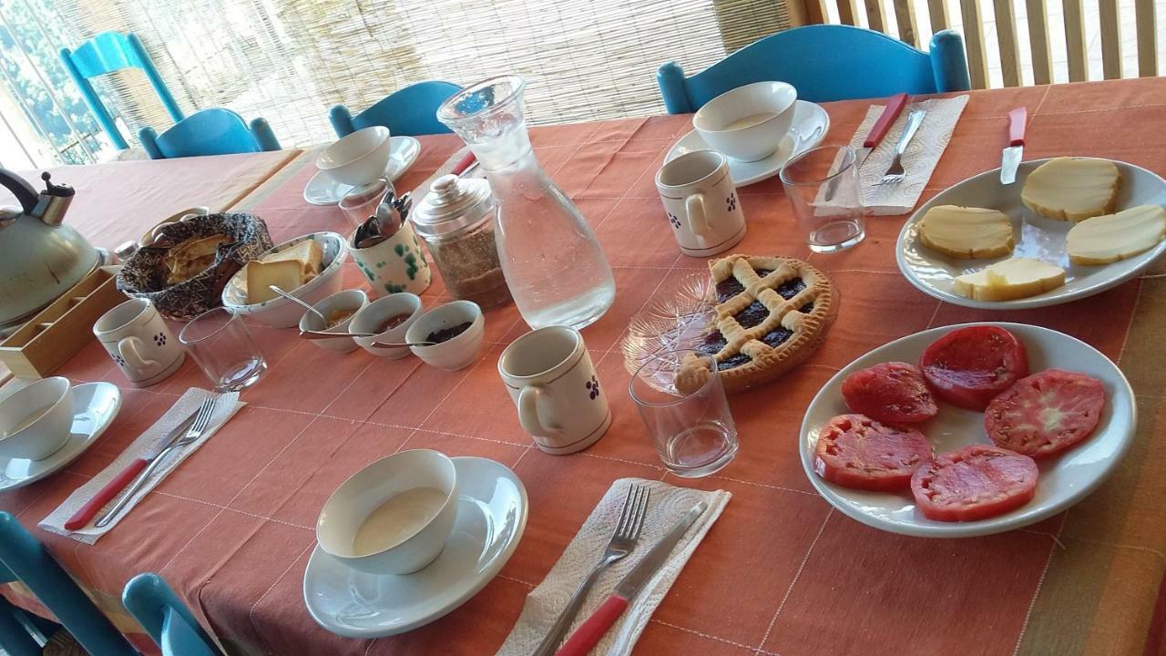 B&B Calabria Scigliano Luaran gambar