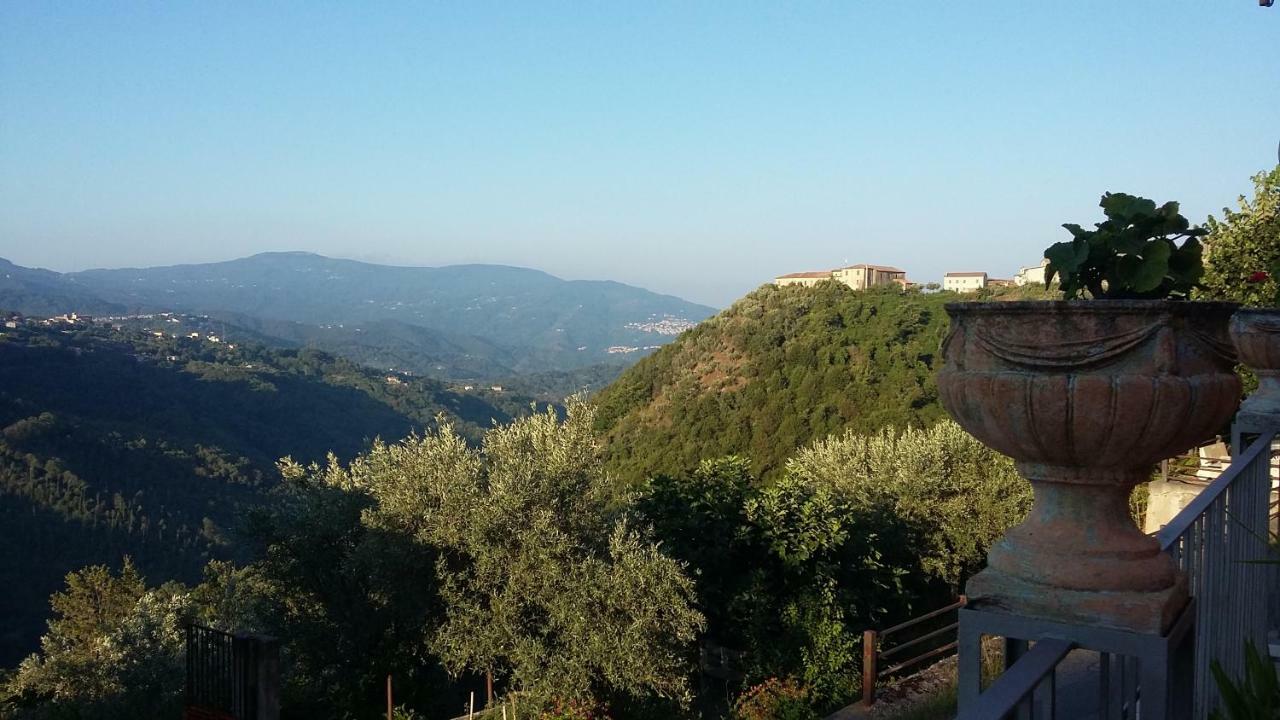 B&B Calabria Scigliano Luaran gambar
