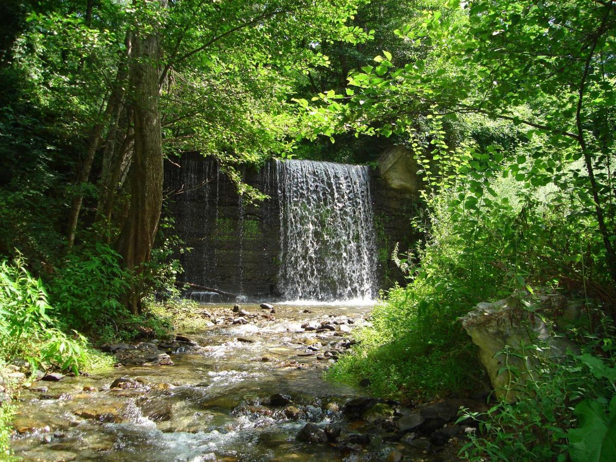 B&B Calabria Scigliano Luaran gambar
